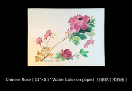 156. 月季花