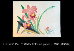 158. 兰花